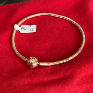 Pandora Rose Snake Chain Bracelet